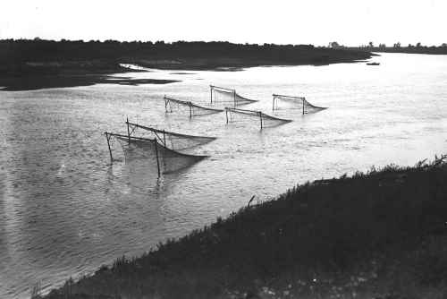 Eel traps in the river Maas, 1934